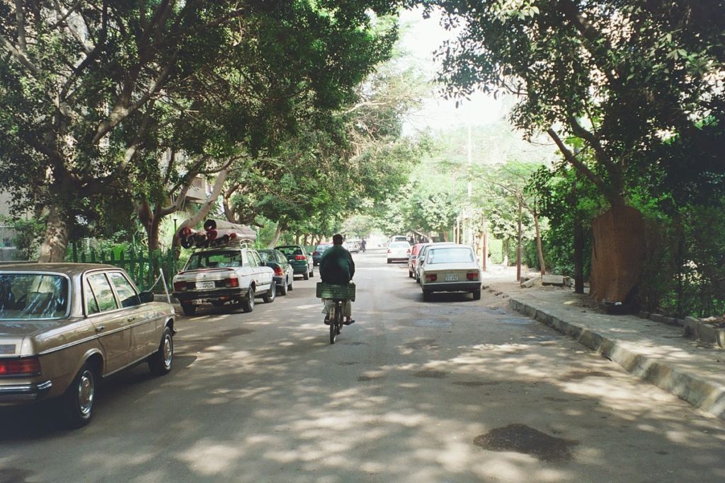 المعادي