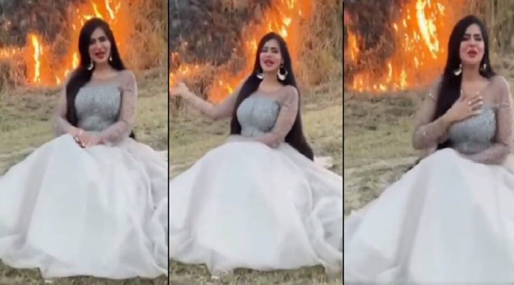 السوشيال ميديا