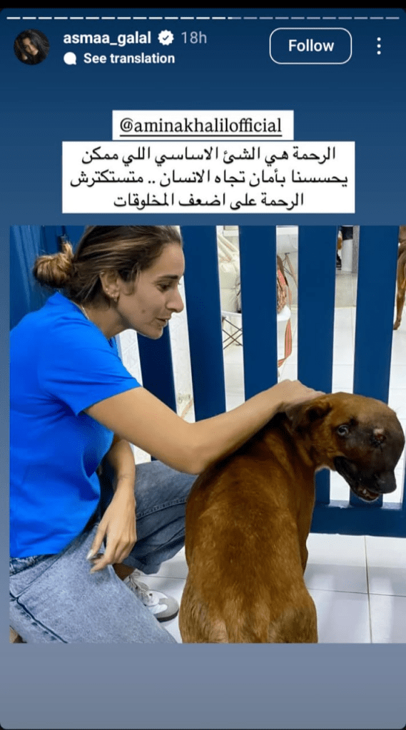 حملة واسعة ينضم لها الفنانون بعد مقتل كلب هاكسي المحلة
