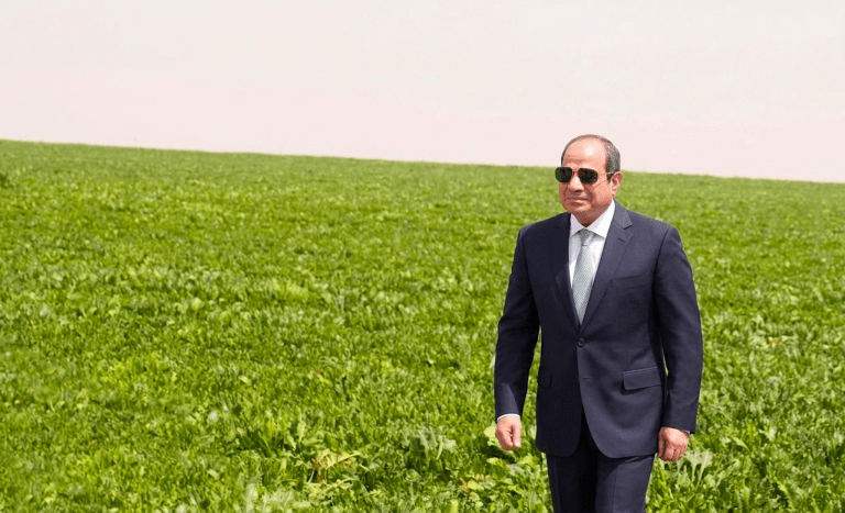 ماذا نعرف عن مشروع الدلتا الجديدة بمحور الشيخ زايد بالجيزة؟ ماذا نعرف عن مشروع الدلتا الجديدة بمحور الشيخ زايد بالجيزة؟